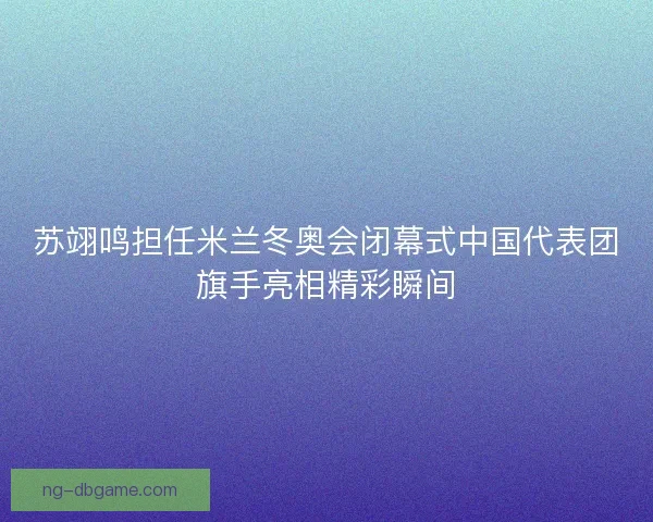 苏翊鸣担任米兰冬奥会闭幕式中国代表团旗手亮相精彩瞬间